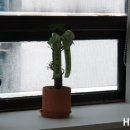마들역튼튼정형외과의원 네이버블로그