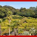 외도보타니아 이미지