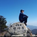 산사랑