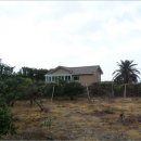 강정동-26 이미지