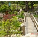 대장동 용추계곡 이미지