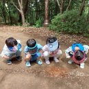 구립해오름어린이집