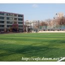 부양초등학교 이미지