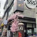 커피나무 | <노량진> 노량진 주민의 내돈내산 맛집코스 스시준, 커피나무 후기