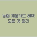 채움 티스토리