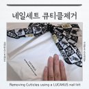 네일세트 큐티클제거 방법 순서 : 똥손도 셀프네일 성공 루카너스