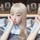 박*수 Daum카페
