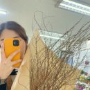 설유화플라워 - 강서구 공항대로38길 106 | 설유화플라워