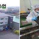 주식회사준푸드 이미지