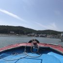 킹콩좌대 이미지