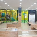 더본감자탕 이미지