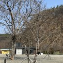 청통왕갈비탕 이미지