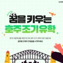 호주유학 장단점 알아보고 가자