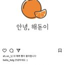 해돋이과일