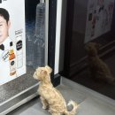 세븐일레븐 마포한신점