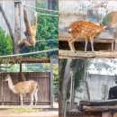 [전북 전주] 전주 천년고도옛길 1코스(건지산옛길) 이미지