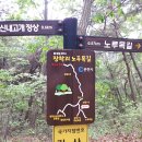 장학리노루목길(봄내길 8코스) 이미지