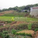 금공리농장 이미지