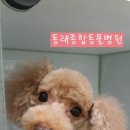 동래종합동물병원 이미지
