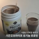 한국농약씨앗 | 식물성 단백질 가든오브라이프 후기 | 스위치온단백질 파우더 선택한 이유!