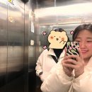 [운동] 대구 번지피지오 후기 / 토즈댄스센터