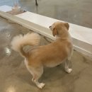 요미야 놀자 이미지