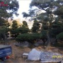 남동화원 이미지