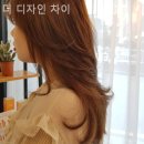 더 디자인 차이