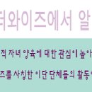 와이즈미