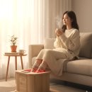 알파플랜 | 알파플랜 건식 족욕기 좌훈기 추천 후기