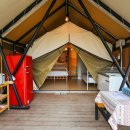 라플로레스타 이미지