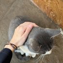 버스정류장_유전저수지_2 | 광교산 등산 후기 (광교산 등산안내소-노루목-시루봉-형제봉-토끼재 하산)