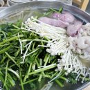 중앙 갯배 이미지