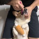 메이동물병원 이미지