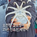 지에스(GS)25 보령오천항점 | 25년 신조선! 오천항 집만 가까웠으면 자주 타고 싶은 (팀프랜드호)낚시 배, 솔직 후기