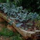 온새미로 펜션 이미지