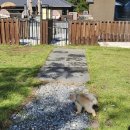 펫펜션 휴 이미지