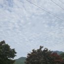 와룡체육공원 이미지