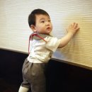 토이N조이 이미지