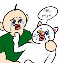 새천년건강약국 이미지