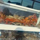 대게좋은날&모텔 이미지