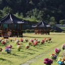 의성군시설관리사업소 - 의성군 안계길 251 | 의성군시설관리사업소