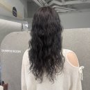 관창로42,46번길 | 부산 히피펌 젤리펌 전문 히피젤리 서면전포점 내돈내산 3개월 차 후기 관리법 제품 추천