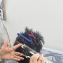 일신남성컷 이미지