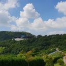 영인산자연휴양림 이미지