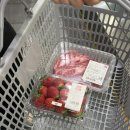 와써PC방 | 2026.01 🦕