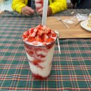 신인섬카써비스 이미지