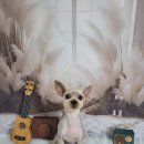 아보네 멍빌리지 이미지