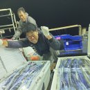 사직점 현대자동차 이미지