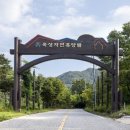 옥성 웹이코노미